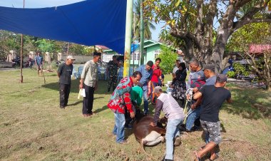 Idul Adha, Penyembelihan Sapi Qurban oleh DPC PPDI Kabupaten Bengkalis Riau